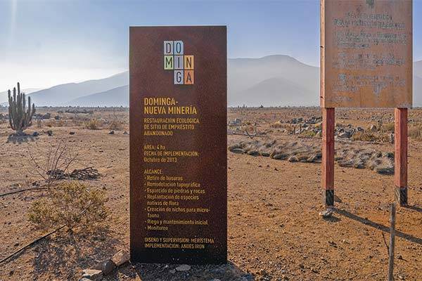 Tribunal Ambiental rechaza recurso presentado por el Gobierno sobre Dominga