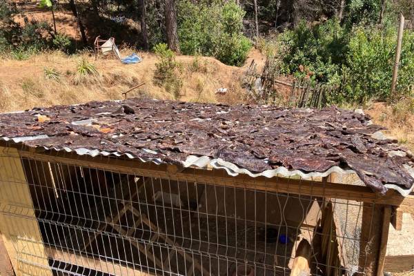 Alertan riesgos de consumir charqui procesado clandestinamente tras el decomiso de 400 kilos de carne insalubre