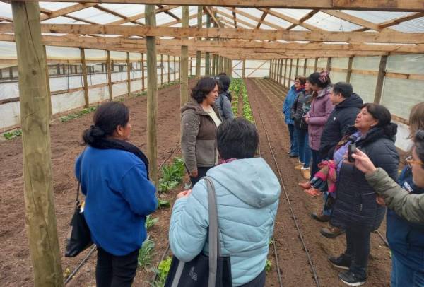 Académico UdeC participa en proyecto binacional de empoderamiento de mujeres e inocuidad alimentaria