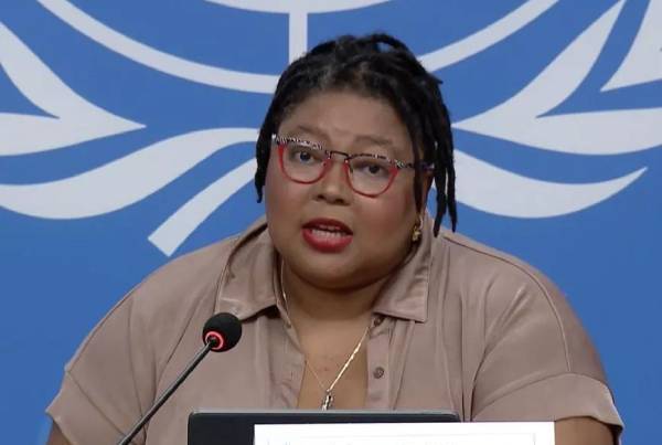 ONU advierte sobre situación de la salud en Chile