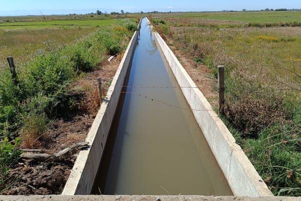 Revestimiento de canal Bustos beneficiará a 23 familias de Ñiquén