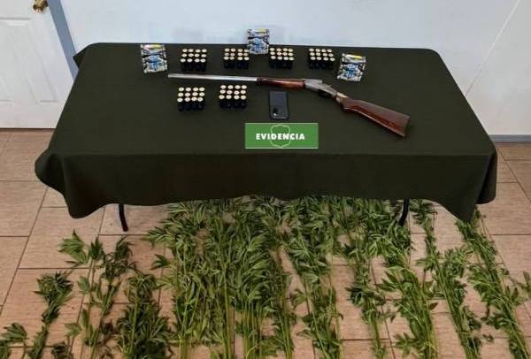 Detienen en Ninhue a hombre que amenazó de muerte a su ex pareja con un arma de fuego