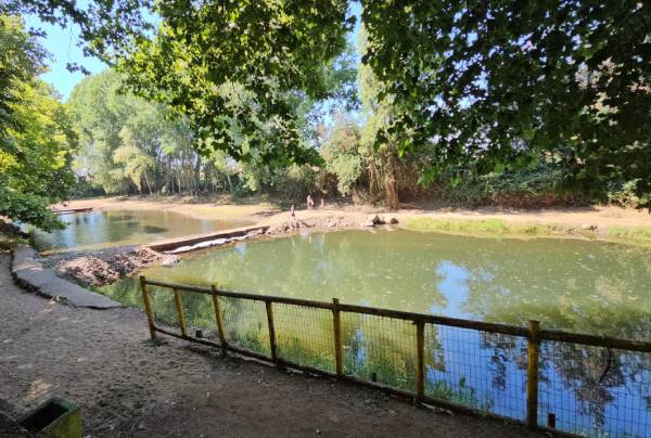 Prohíben acceder a aguas balneario municipal de El Carmen por contaminación