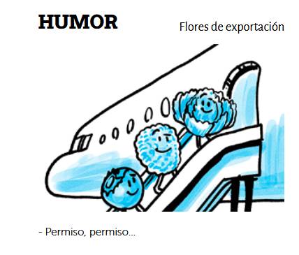 Humor