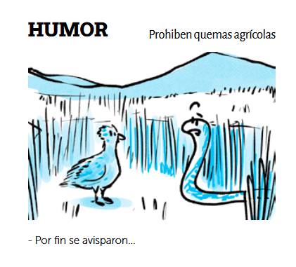 Humor