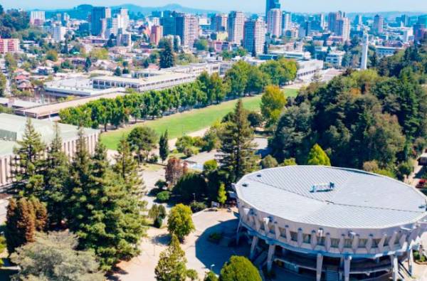 UdeC lanza curso MOOC gratuito sobre la Ley TEA con enfoque en la neurodiversidad