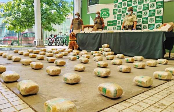 Carabineros Ñuble cierra el año con un aumento del 300% en incautaciones de droga
