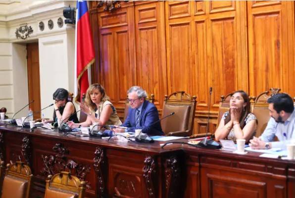 Senadora Carvajal destacó avances y desafíos de la ley “Papito Corazón”