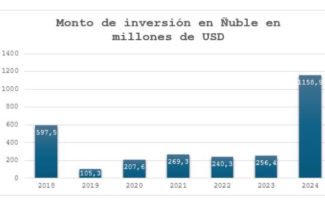 Inversiones en Ñuble crecen un 350% durante el año 2024