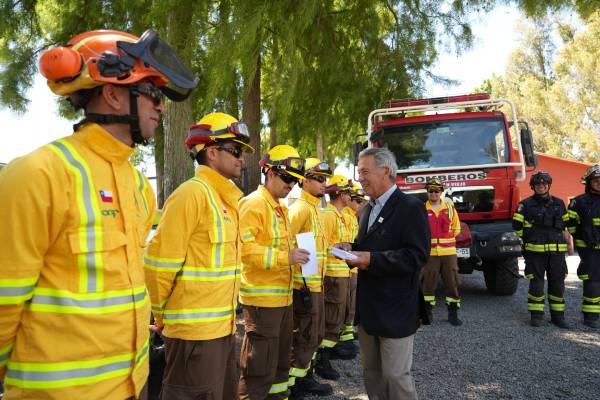 110 incendios forestales se han registrado en la región de Ñuble esta temporada
