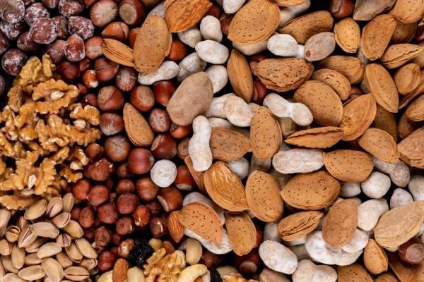 Especialistas UdeC explican cómo maximizar los beneficios de semillas y frutos secos