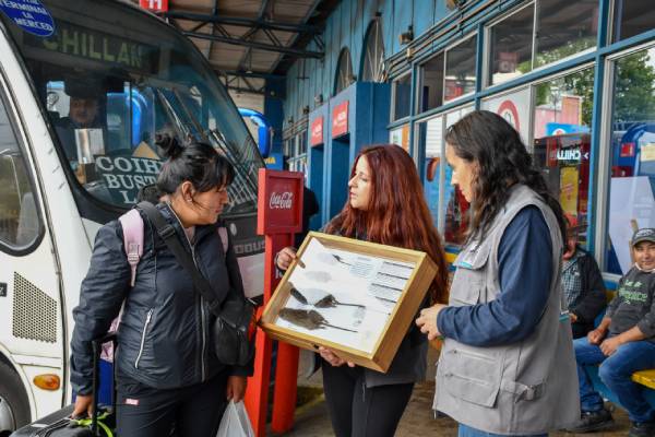Refuerzan campaña preventiva para evitar contagios de Virus Hanta