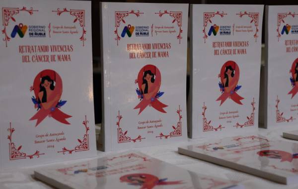 Libro “Retratando vivencias del cáncer de mama” será presentado el lunes en Chillán