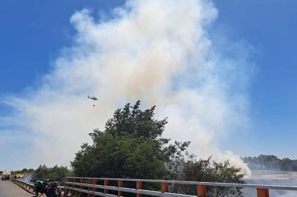 Confirman actos negligentes tras últimos incendios forestales