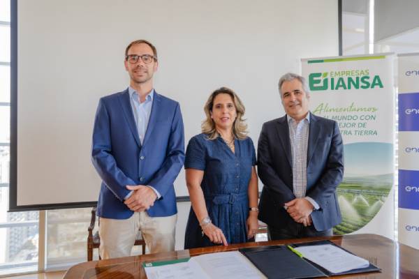 Iansa y Enel construirán 4 plantas solares para abastecer campos