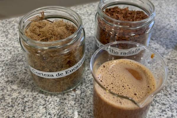 Contra hongos y rayos UV: Solución de origen natural para protección de maderas