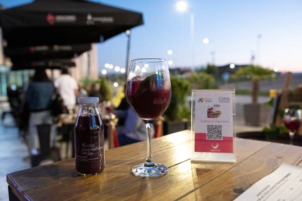 Presentan jugo elaborado con uva País en San Nicolás