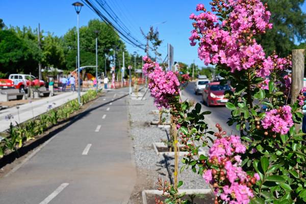 Chillán estrena nueva área verde del Plan Calle sin violencia